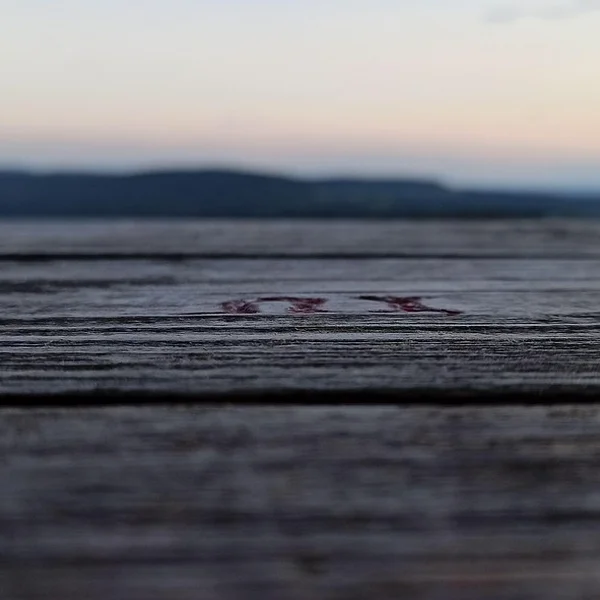 菠菜网站捕鱼游戏